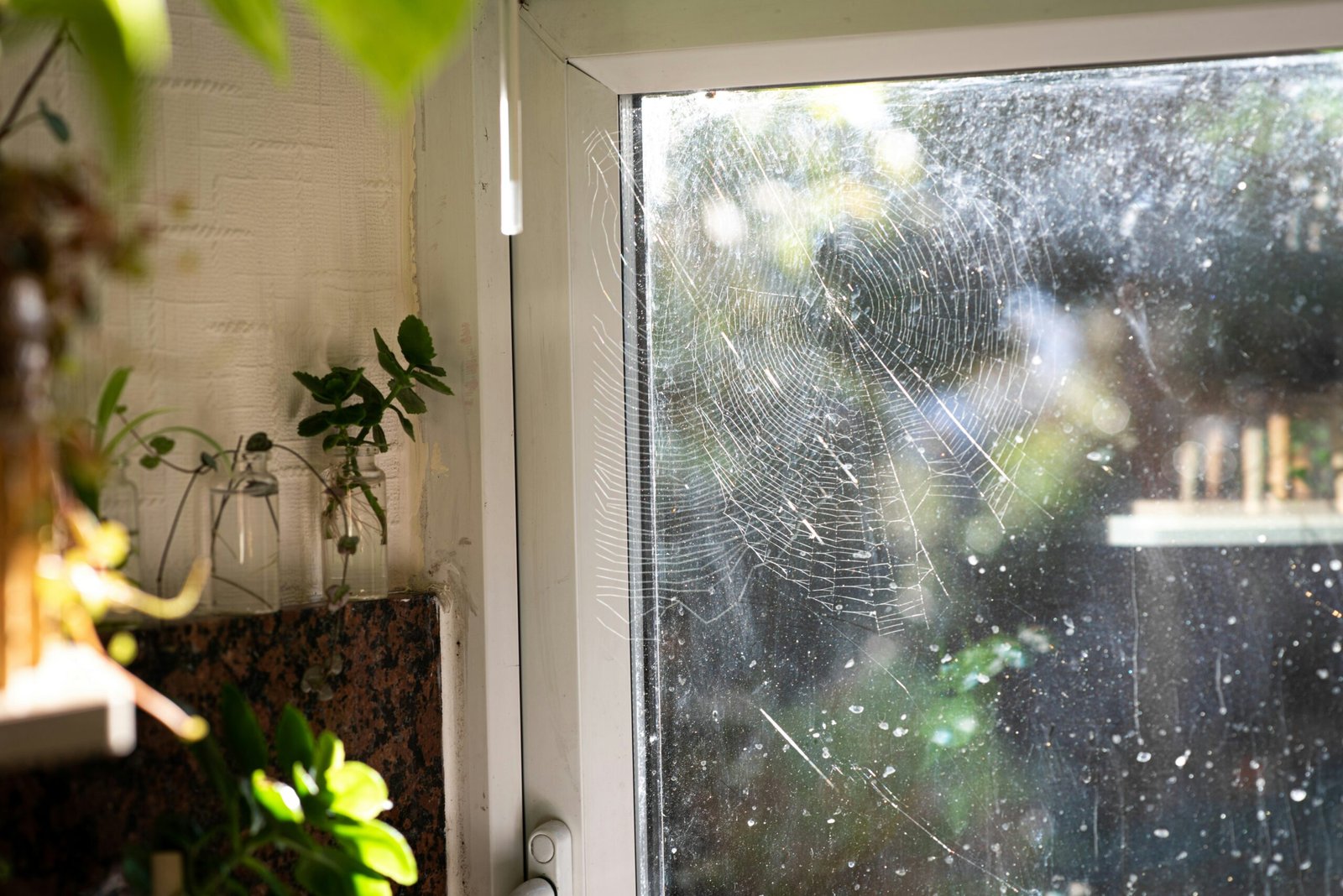 House cleaning services